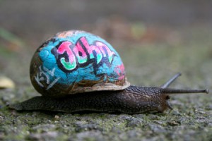 graffiti-snails.jpg